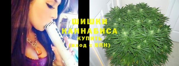 каннабис Аркадак