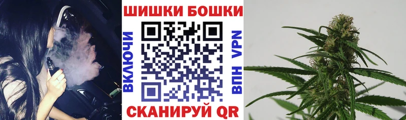 Каннабис MAZAR Дорогобуж
